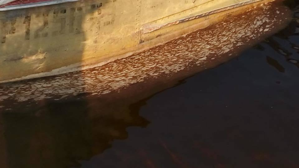 40330150_10215245941795300_3128629756669460480_n