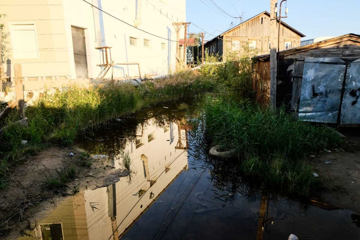 96d41757-f2a2-4c10-a1b2-8e4fbe041c5f