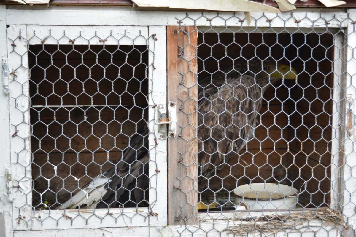 9b29ed95-77ad-4a66-9241-9bd7ea8d5a64