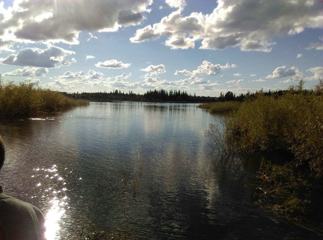 Группа экспертов направлена в Мирнинский район для выяснения обстоятельств загрязнения рек