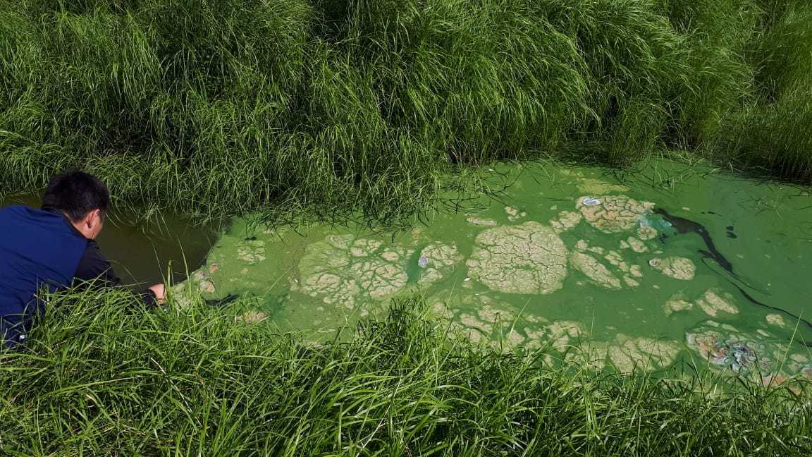 PHOTO-2018-08-03-13-21-28