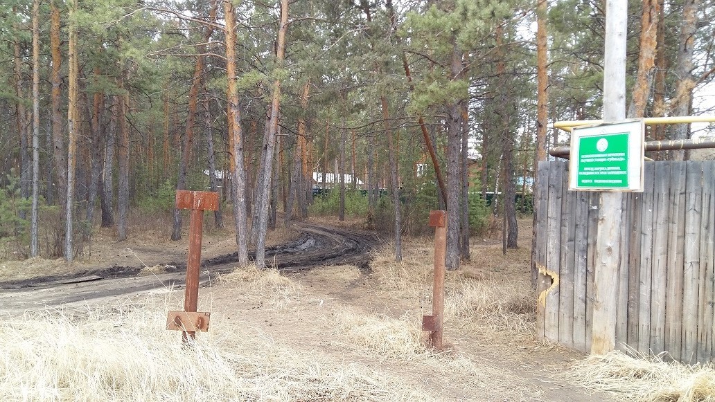 Проблемы "Мерзлотки": «война» за лес, строительство многоэтажки и заболачивание территории