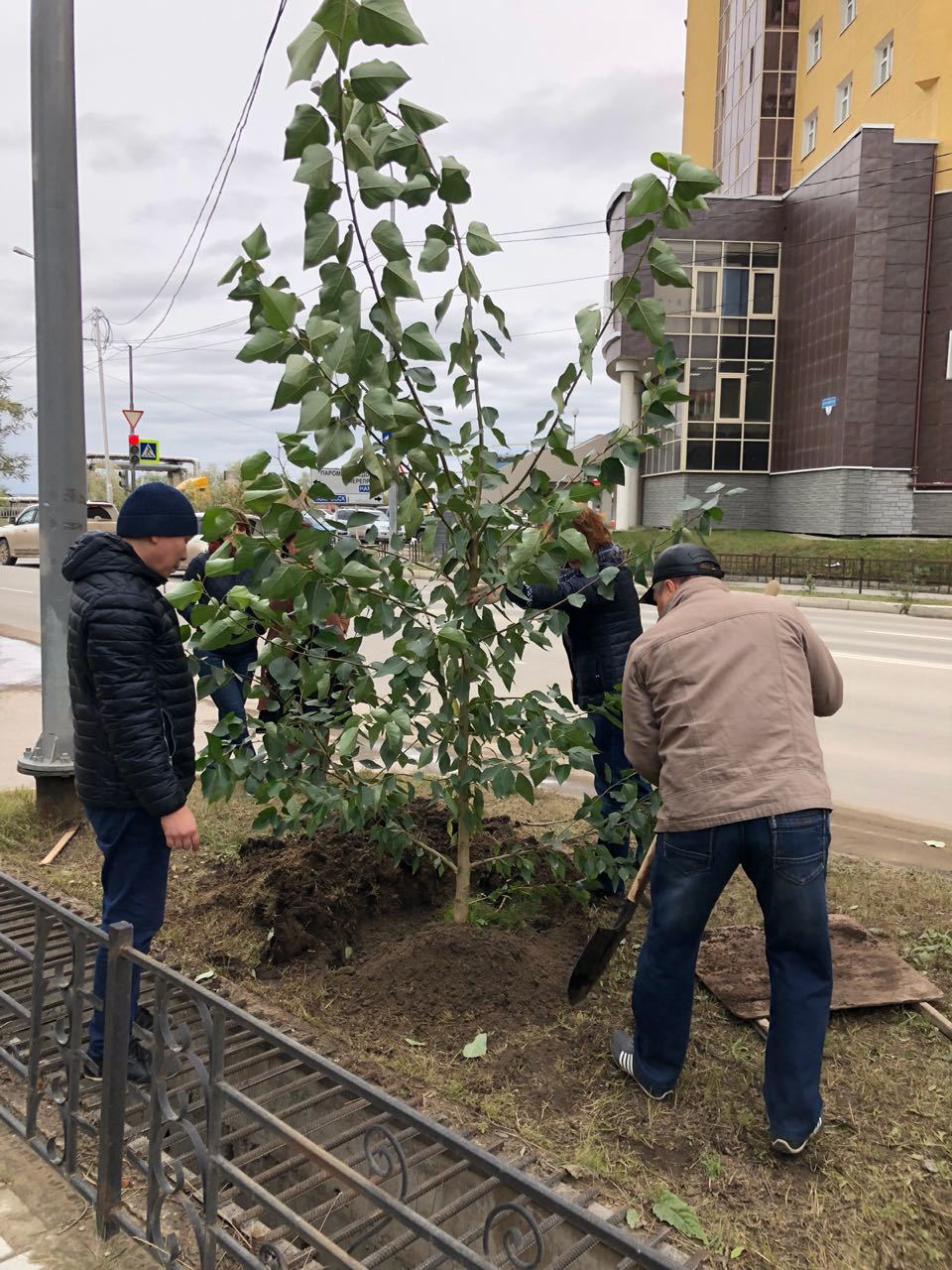 0ac00173-8671-4730-b874-ba8603d329e4