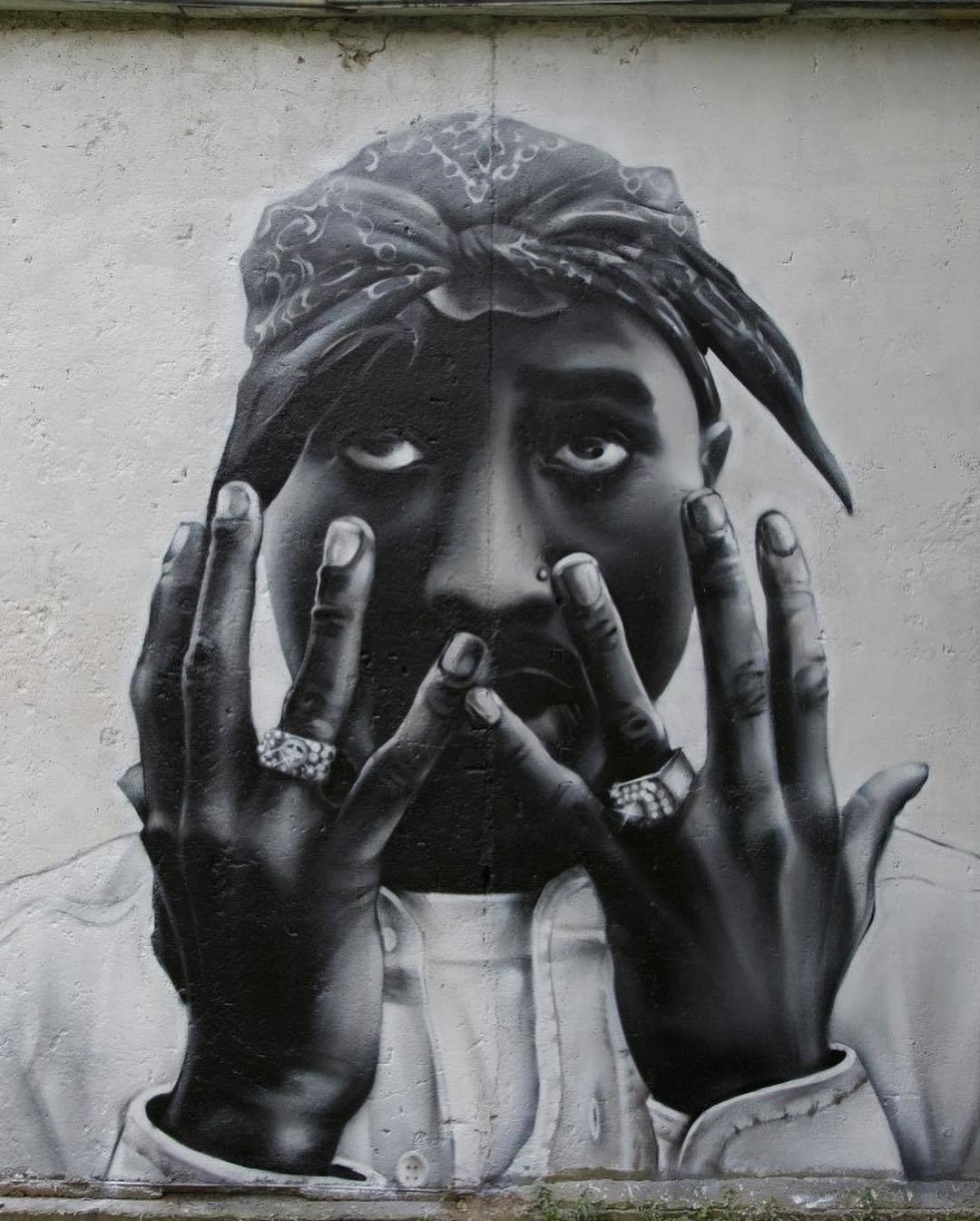 39942075_536681893442712_4054136732585301656_n