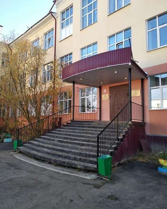 В Якутске стая собак проникла в школу и напала на детей