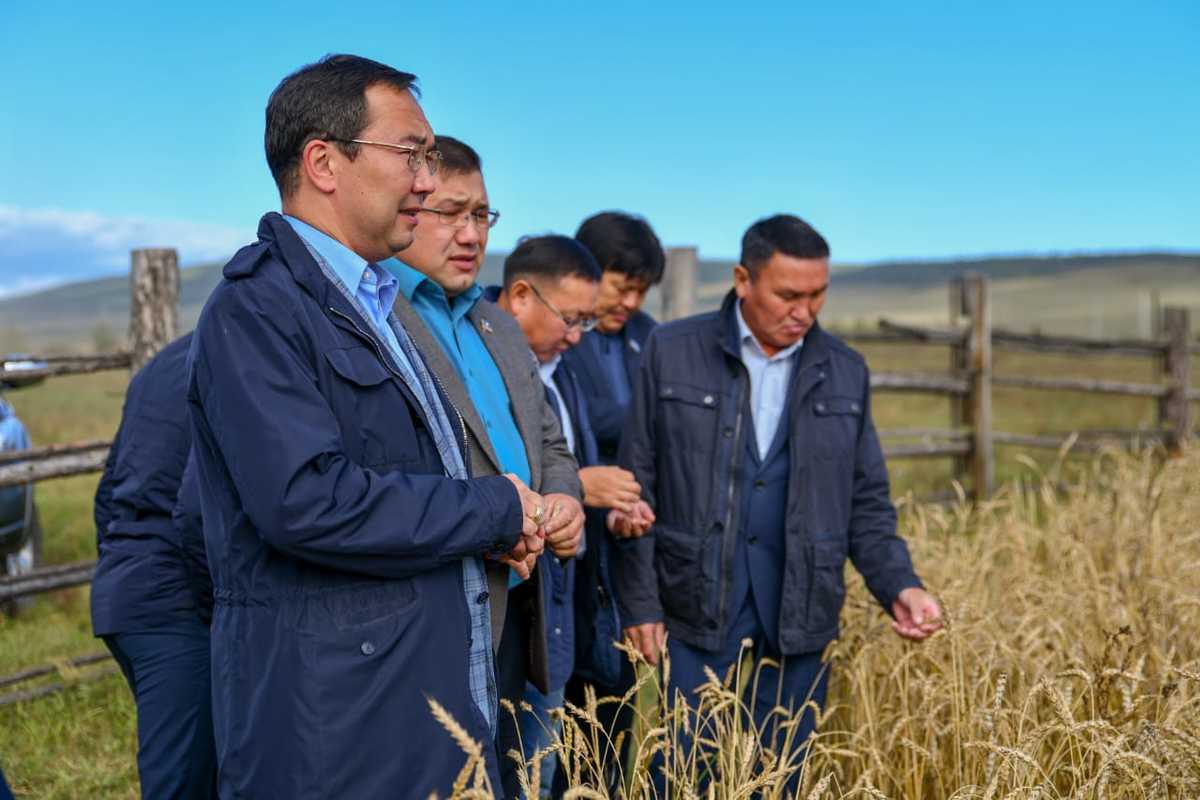 Айсен Николаев: Одна из главных задач сельского хозяйства - обеспечить доход селян