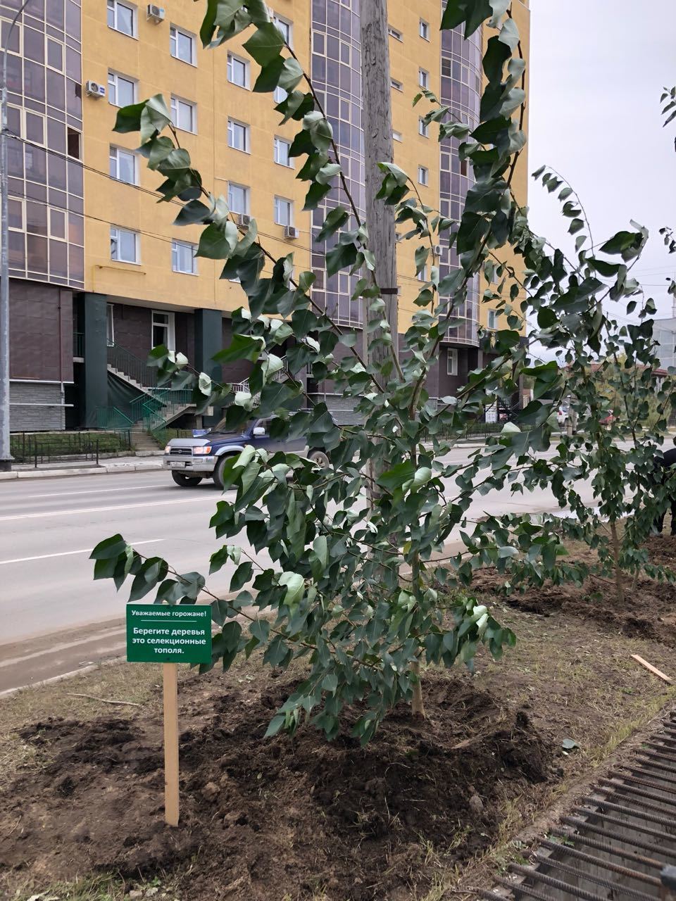 4884891f-dbfe-4095-9815-fb51b29167d7