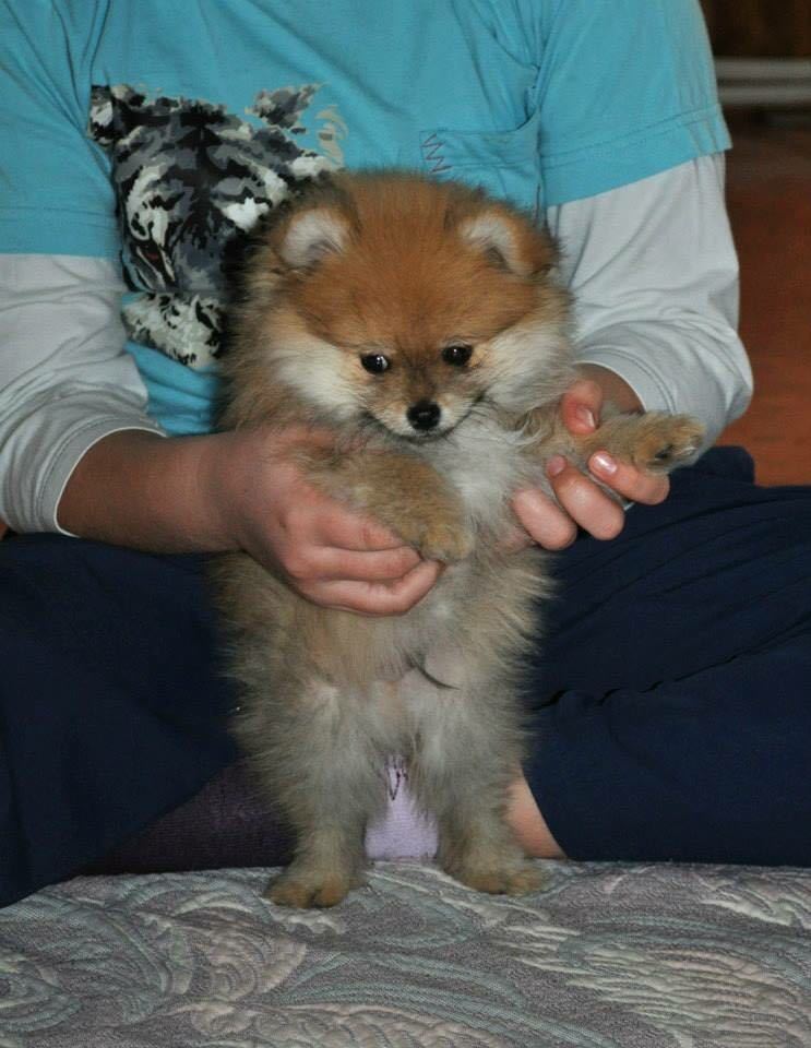 "Таким я увидела Рича, и сразу поняла - он мой!"