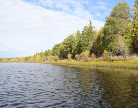 Роспотребнадзор извещает о снижении концентрации загрязняющих веществ в реке Вилюй