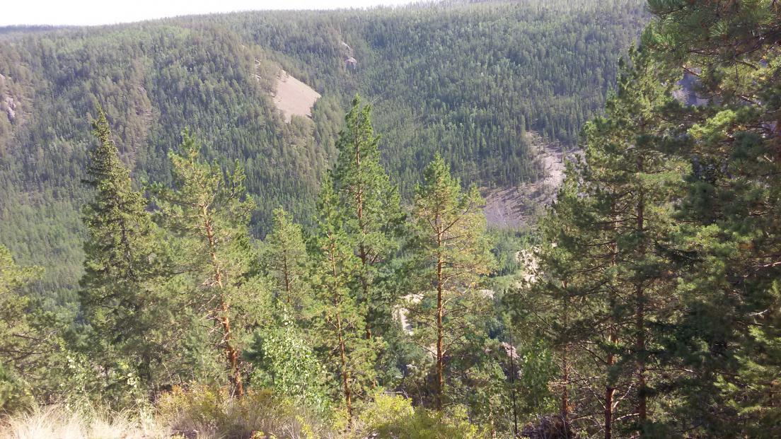 Геологи в Булунском улусе ждали помощи с 6 сентября