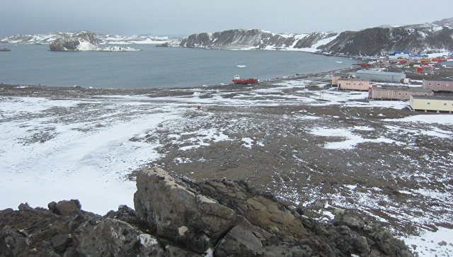 На российской антарктической станции произошла поножовщина