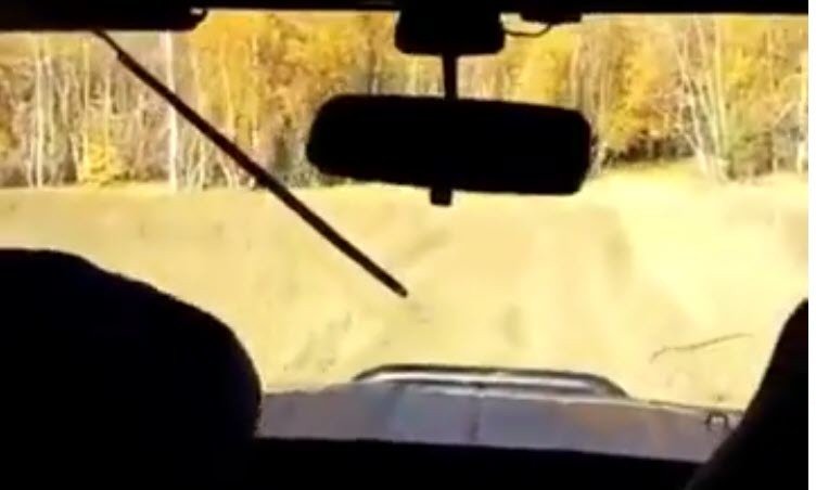 Видео об особенностях якутской охоты взорвало соцсети