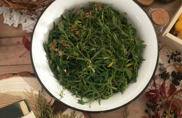 Якутия отказалась от экспорта настоек в Китай