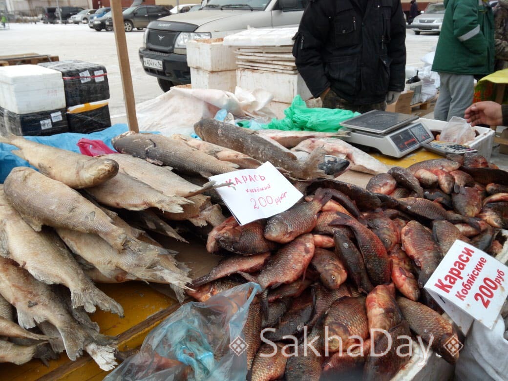 Почем рыбка? Рыба по доступным ценам на ярмарке в Якутске