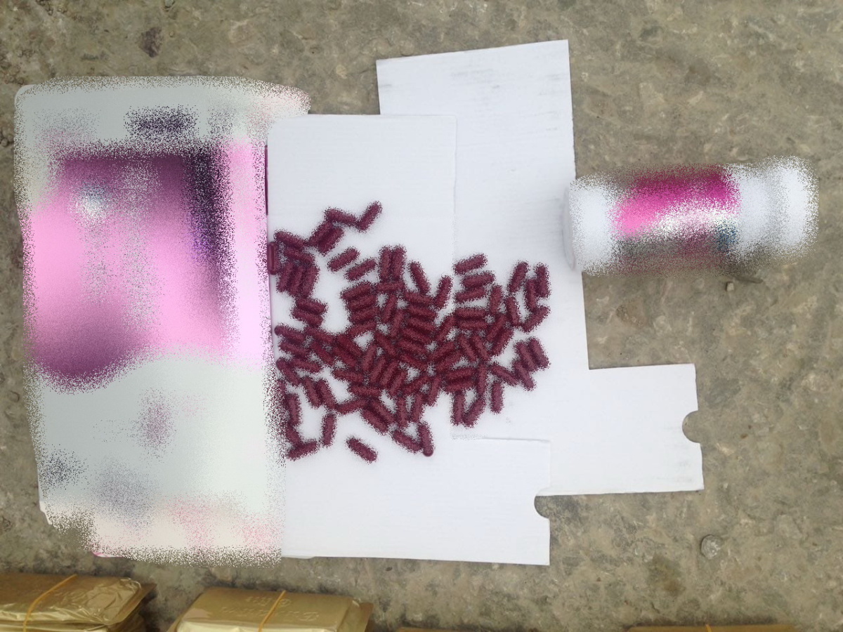 315de6df-5fc8-4a69-adf5-9e3b05a20e54