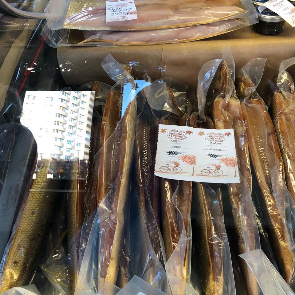 44113545_2222928684444332_2749164014473838592_n