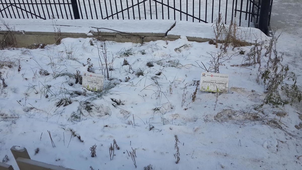 44485711_2203843113204182_1290635799842258944_o