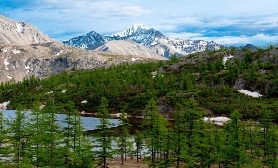 Пилот потерпевшего крушение вертолета в Якутии жив