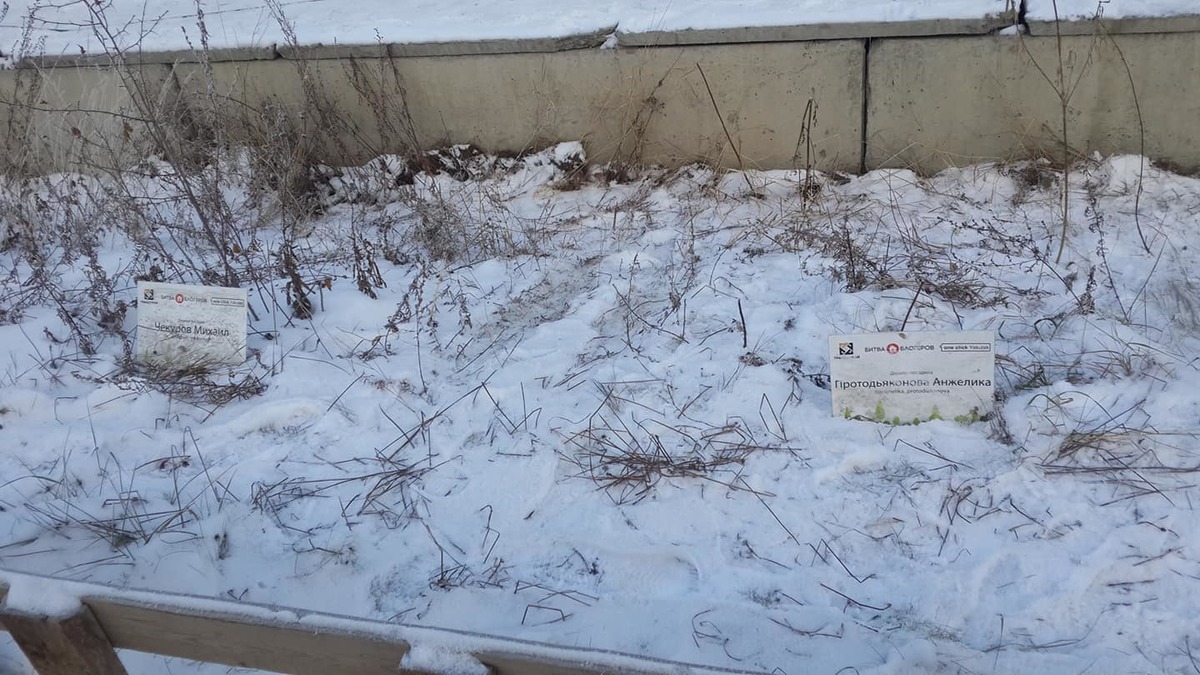 "Боярышник Энжи не прижился". Антон Васильев отремонтировал аллею блогеров в Якутске