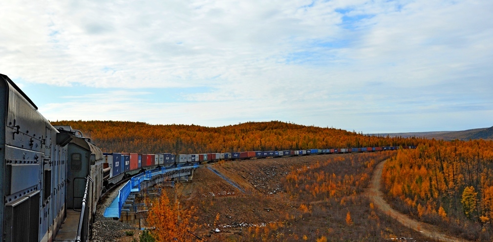 За 9 месяцев ЖДЯ  перевезено более 4 млн тонн грузов