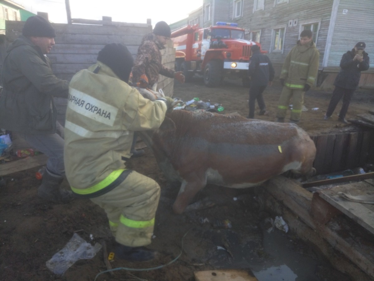 cc80a2f1-22d5-4c78-aaf6-353cd3d8540e