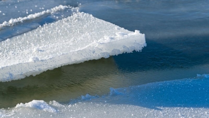 В Якутии унесло в море льдину с 8-мью оленеводами