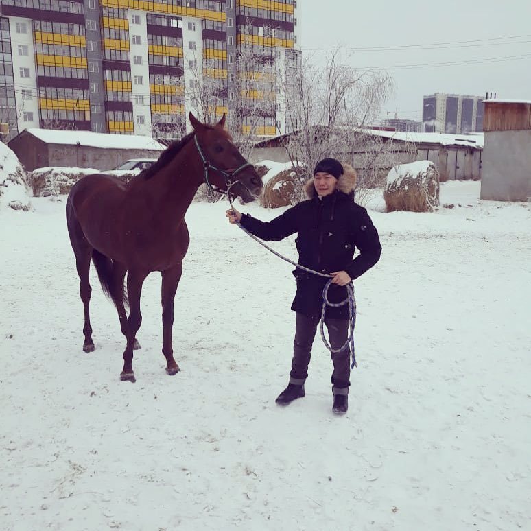 Фотофакт: Якутскому боксеру подарили чистокровного жеребца