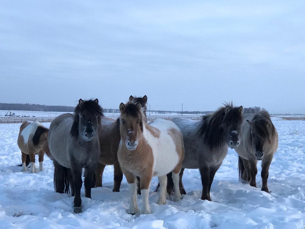 13f8012ecba9215e891c99987fee944d