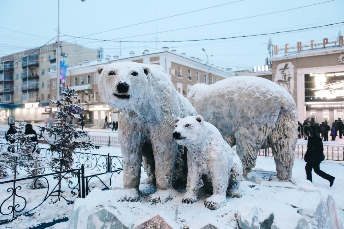 В центре Якутска появилась семья белых медведей