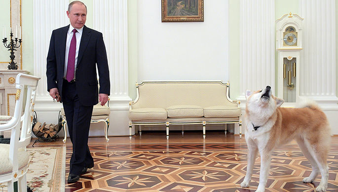Путин подписал закон об ответственном отношении к животным