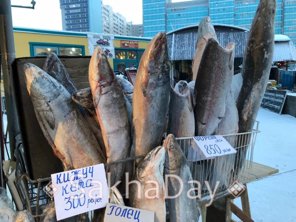 Кижуч форель