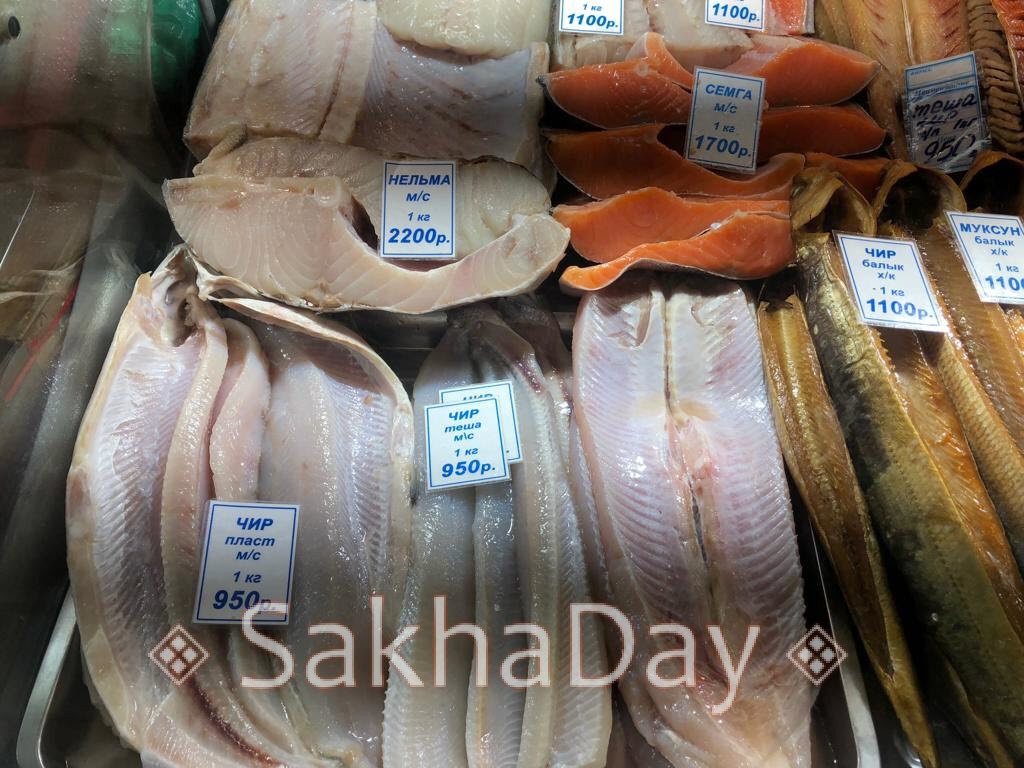 чир соленый