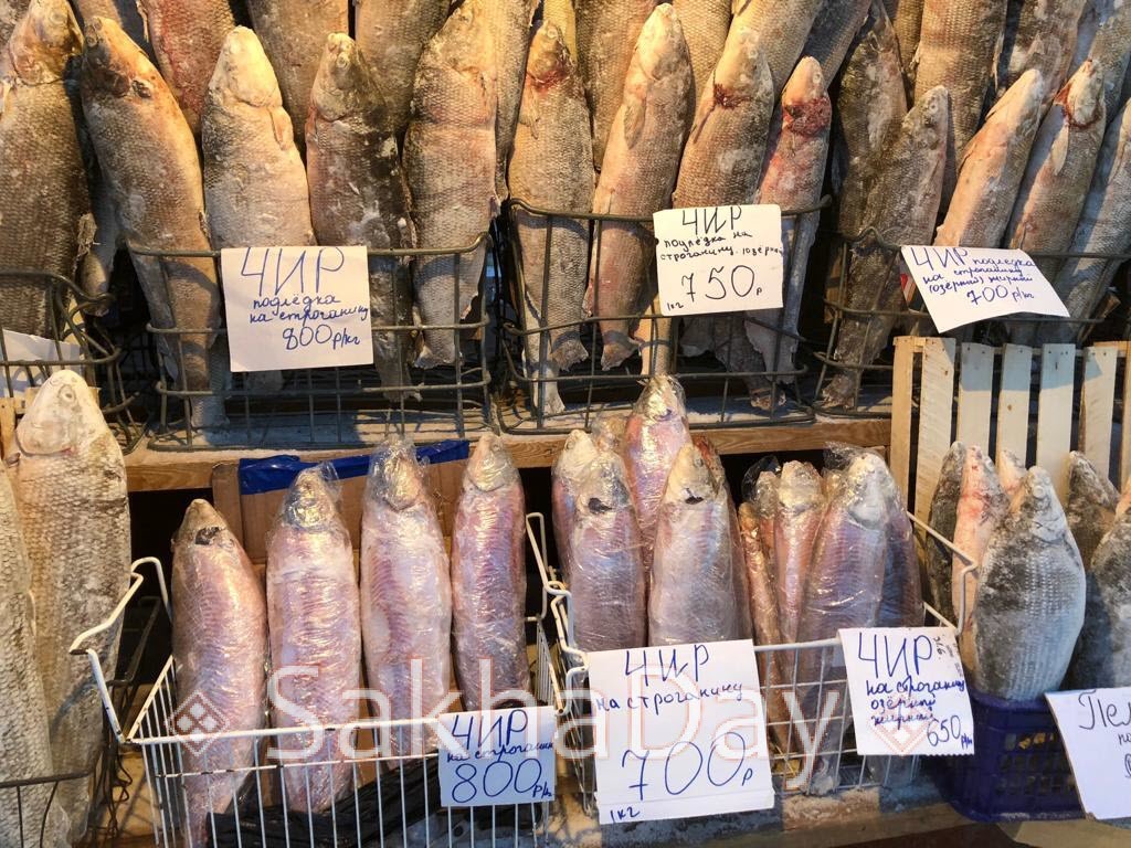 очищенный чир