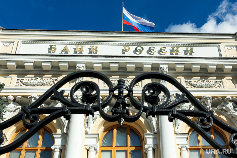 Банку России разрешат блокировать сайты без решения суда