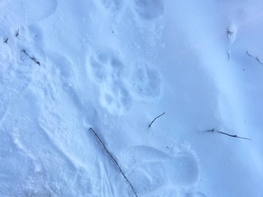 47693612_694710847589996_4613990713848259569_n