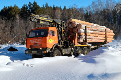Вывоз леса из России предложили запретить