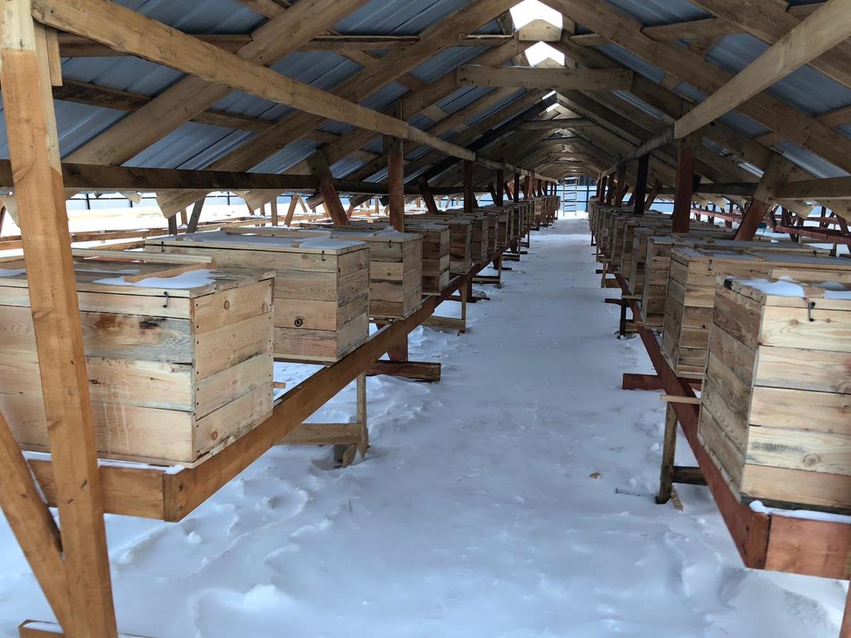 5019ef4a-111b-482b-a08b-d7237730a4e1