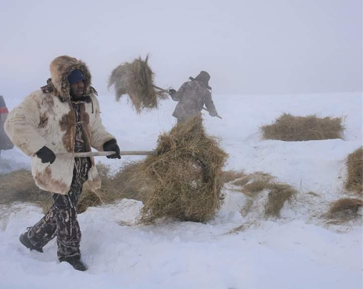 52bb17a0-a6ac-4508-9d36-75ceb39f12a0