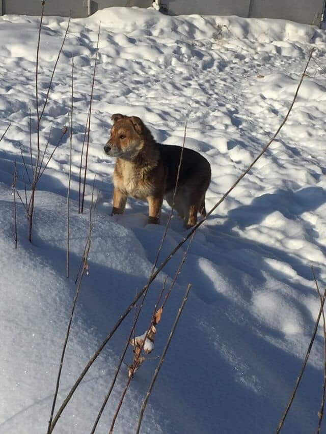 53121439_2558679220870963_2412585762701705216_n