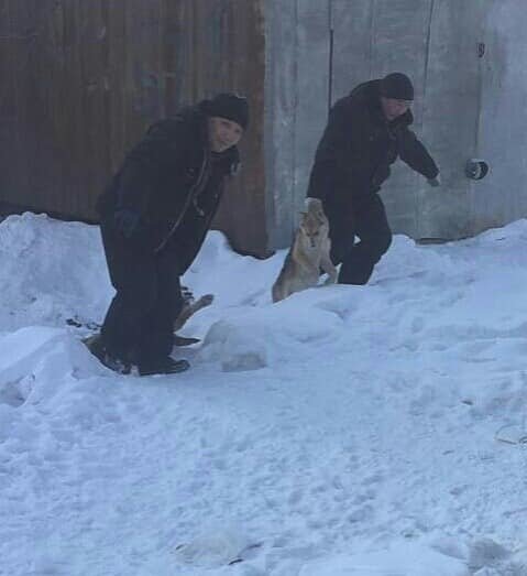 «Мы будем добиваться, чтобы Якутск снял с себя клеймо живодеров», - зоозащитник Злата Сычева