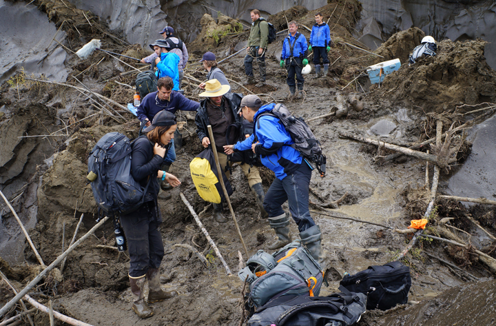 Членами совместной экспедиции Академии наук Якутии и Мичиганского университета были найдены интересные палеонтологические находки