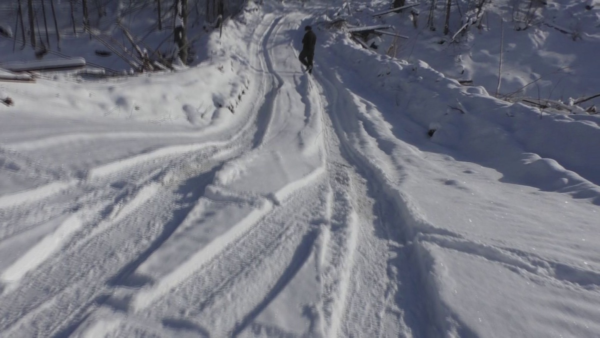 В отношении «Якутскгеофизики» проводится проверка