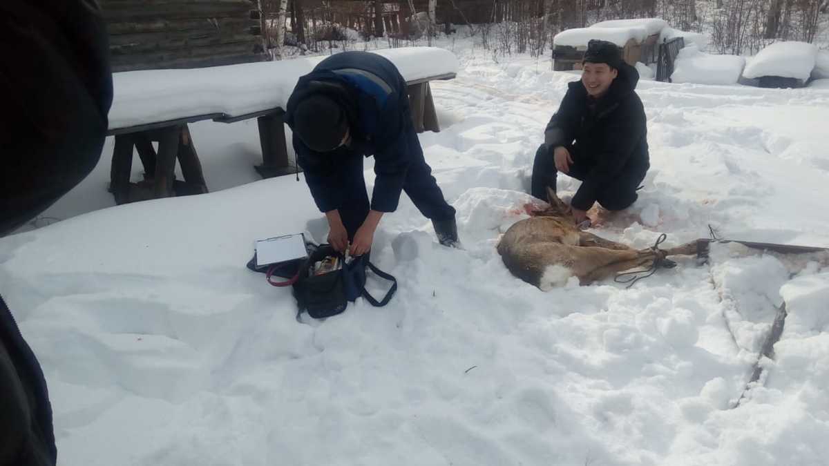 17414af4-0273-480e-9eff-9662fb9de171