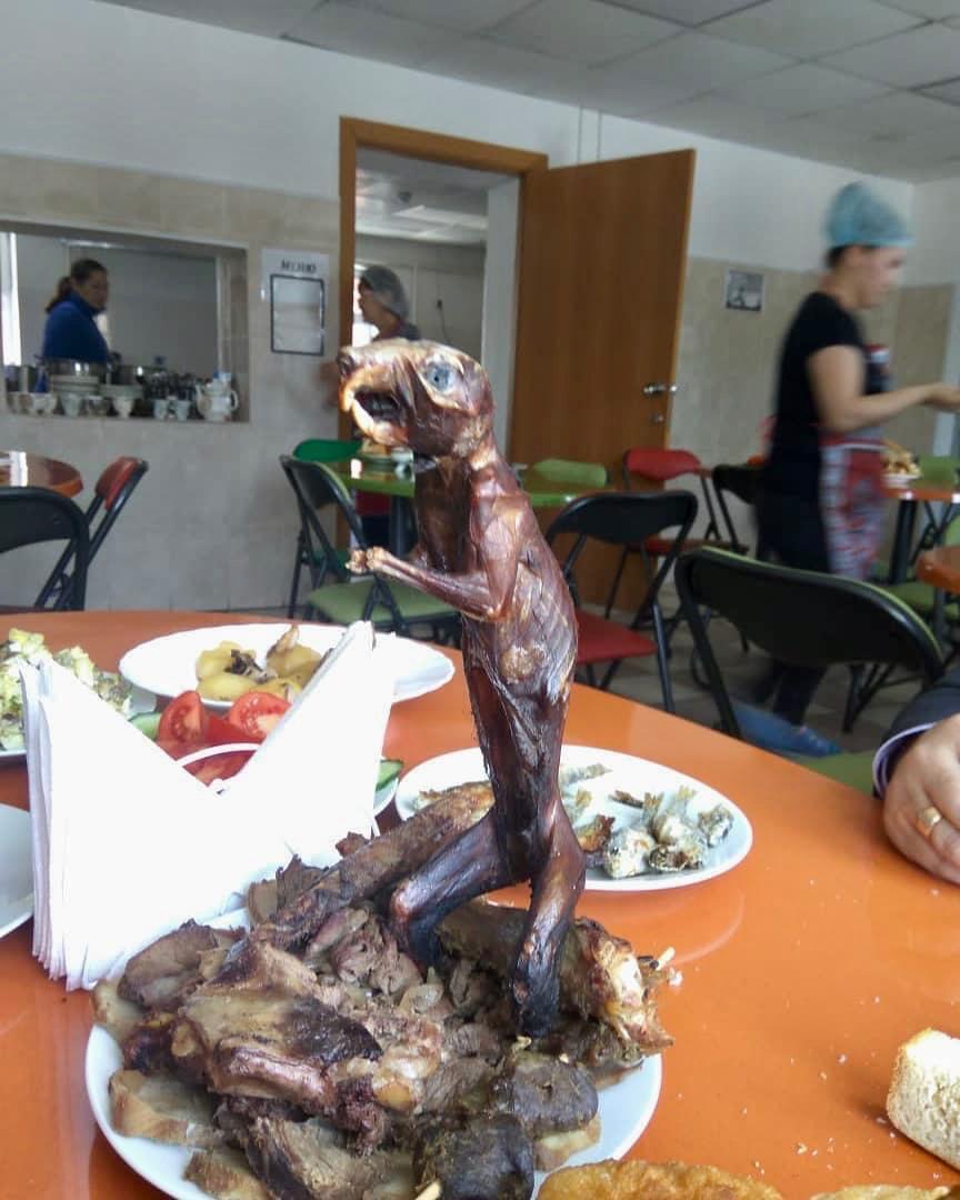 В Сюльдюкаре депутатов угостили белкой