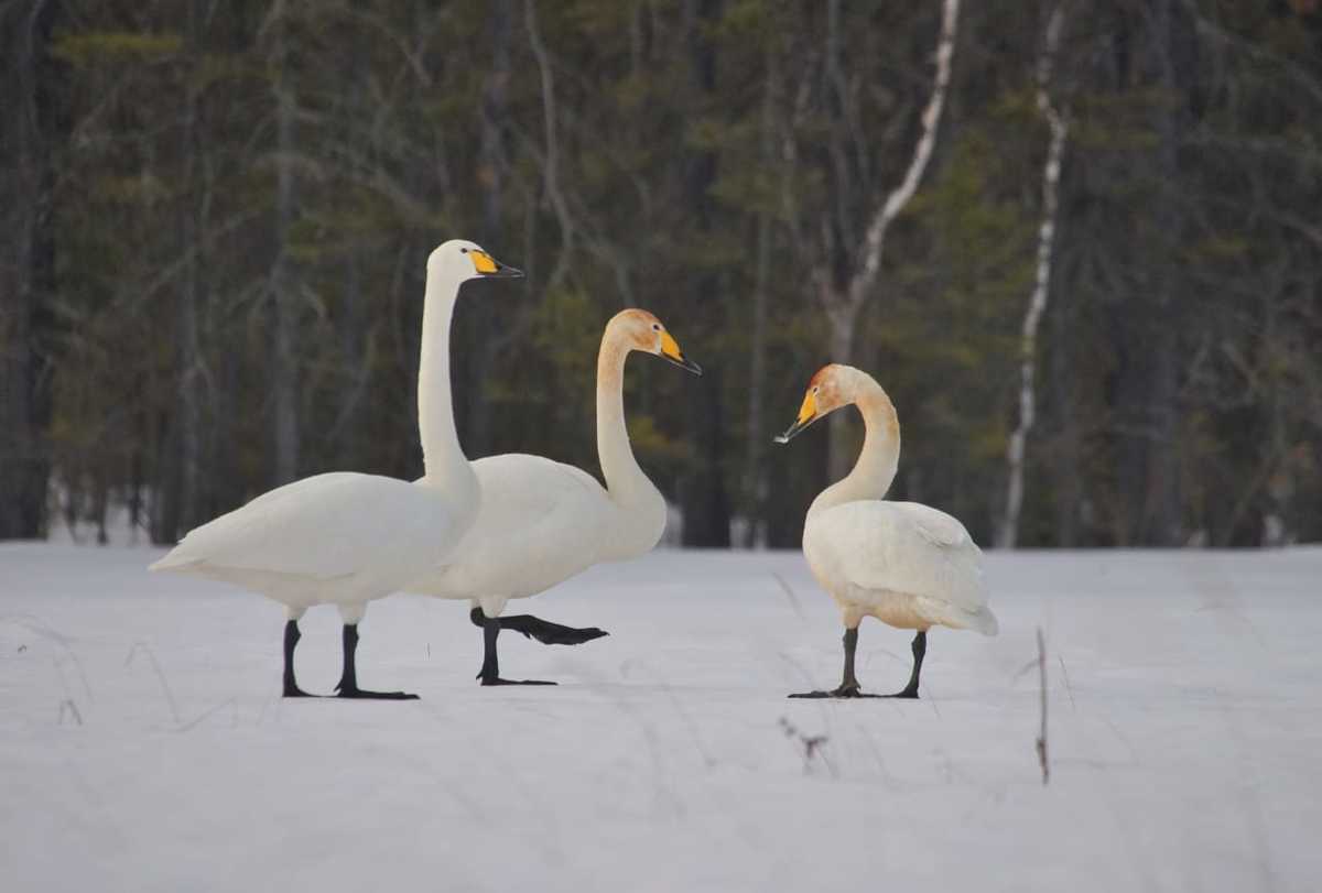 8731925b-d0d9-48b4-a416-c22a2bf2d4cd