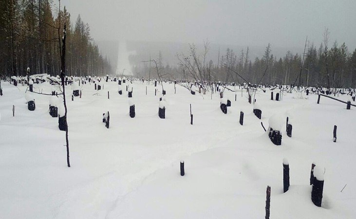 В Ленске пьяные вахтовики напали на своего бригадира