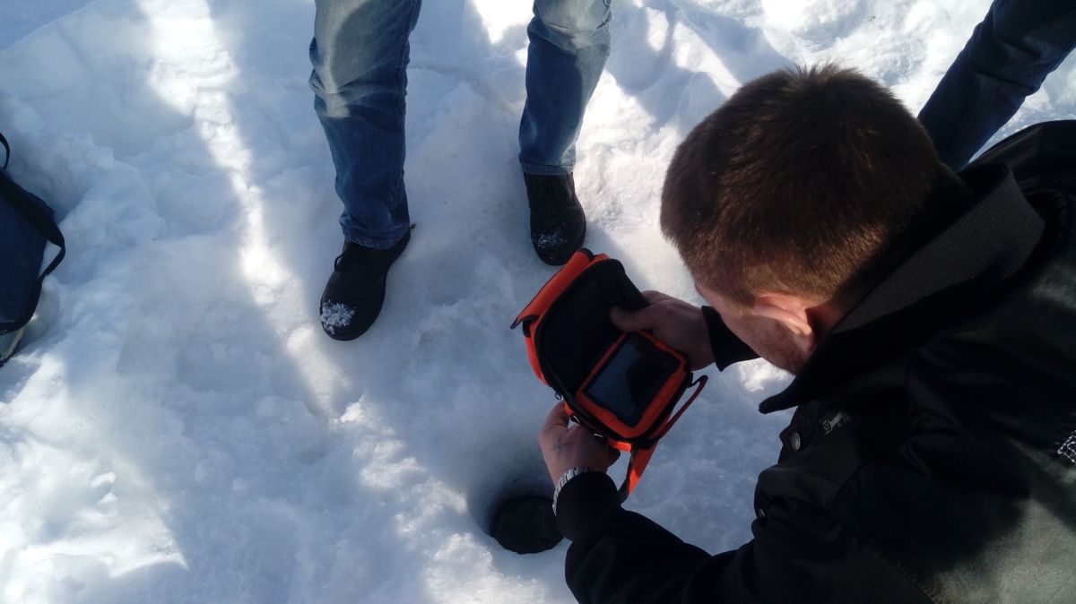 Гибель рыбы на озере в Якутии подтвердилась