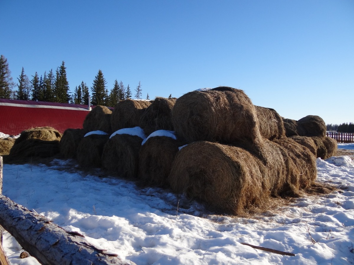 d578903a-b610-4af6-b120-d07b8bef6289