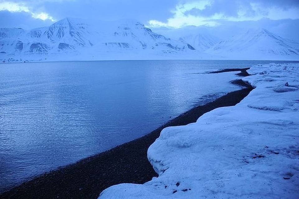 Минприроды РФ: Изменение климата в Арктике привело к миграции животных