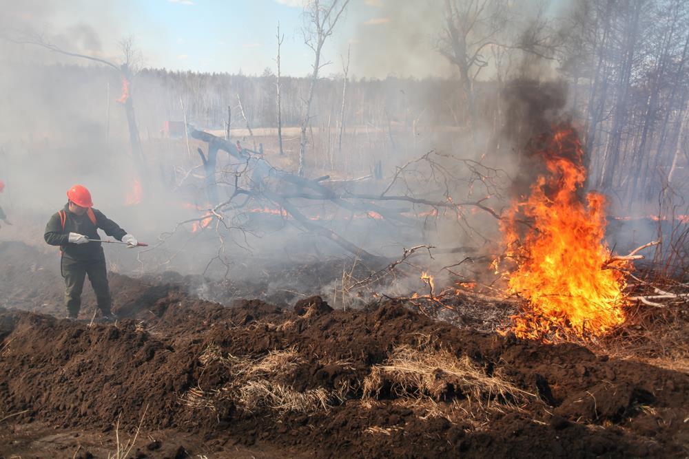 В Якутии зарегистрированы два лесных пожара